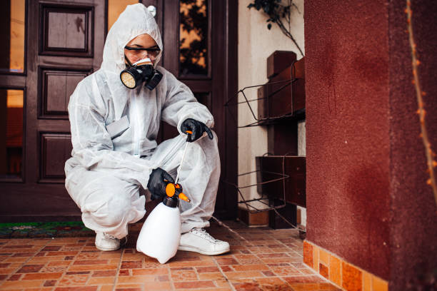 Reliable Wasp Removal contractor in Clarence, IA by Show Me Pest Control